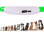 LED-LEUCHTE FÜR HUNDE UND KATZEN Wasserdicht Einstellbar 47cm USB