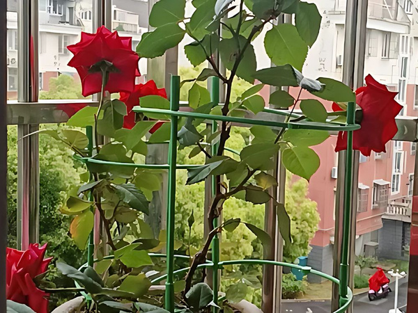 Topfpflanzenständer 3-ring-reifen rundgarten