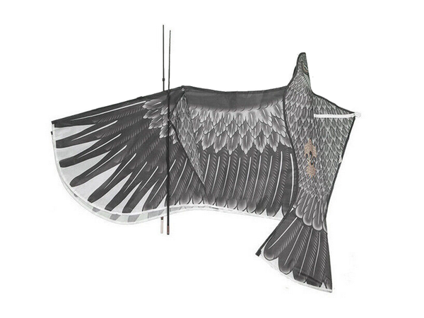 Cometa bird eagle 2m disuasor de aves con línea