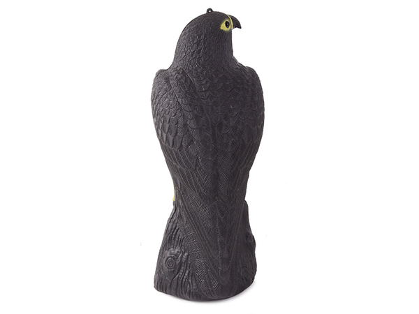 Falcon bird deterrent starlings pigeons mice large