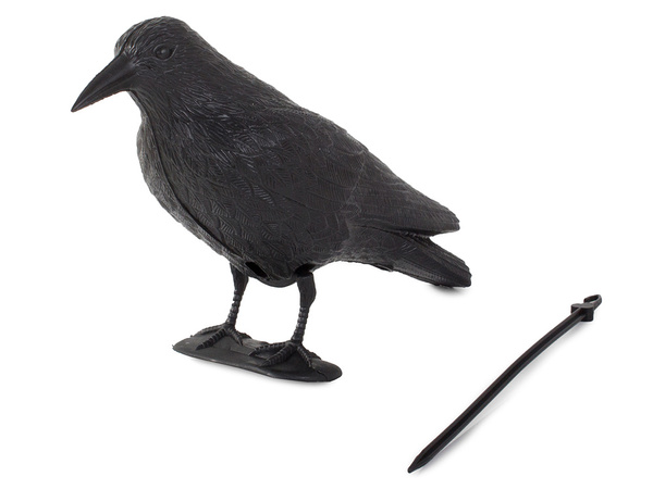 Putnu atbaidīšanas līdzeklis strazdiem baložiem grauzējiem liels xxl