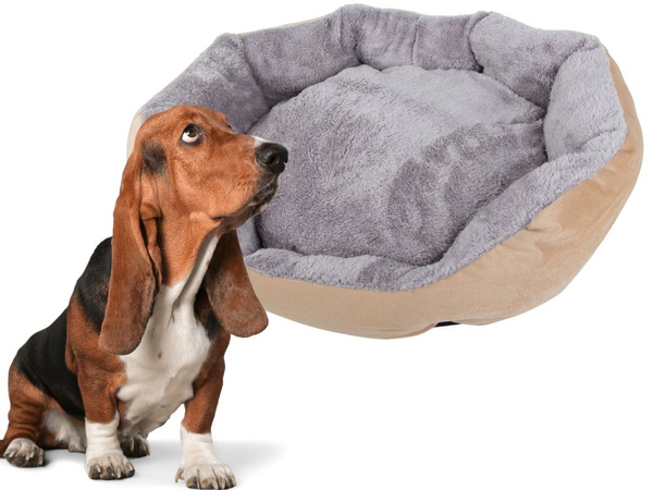 Lit pour chien chat lit moelleux canapé coussin m large