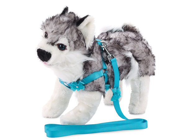 Hám póráz kutyának macskának nyúlnak p1