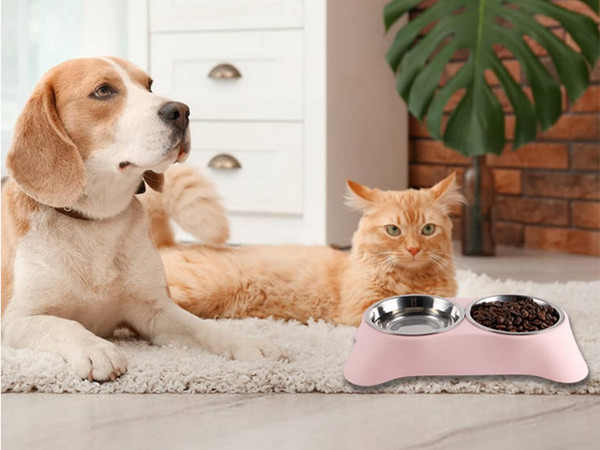 Dvigubas dubenėlis šuniui ar katei metalinis 2 dubenėliai bufetas