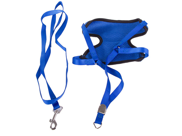Leash with braces harness lightweight for dog cat strong