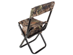 Fishing chair with backrest and carry bag