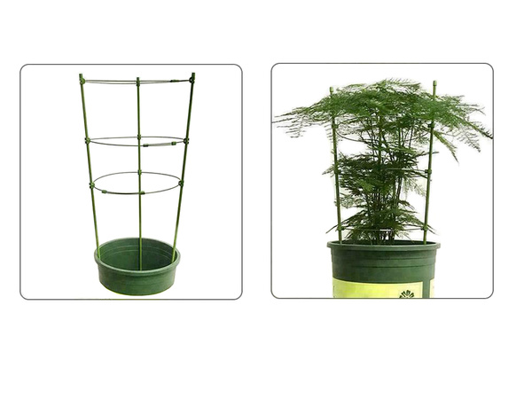 Flower ring plant support round stable ladder