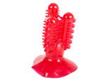 Dog chew toothbrush cactus for dogs