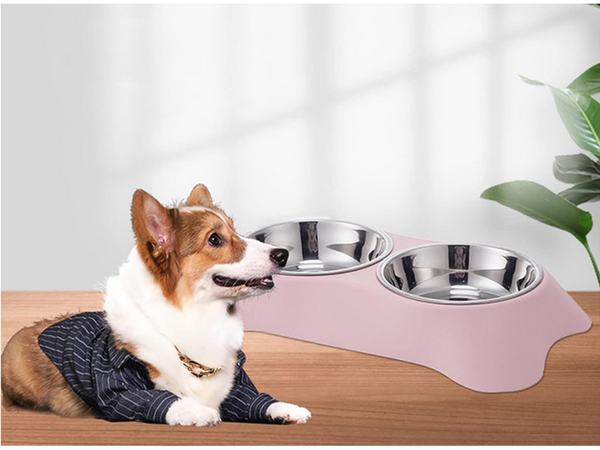 Double bowl for dog cat metal 2 bowls buffet