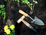 Planting pick for planting bulbs garden skewer wooden measure