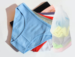 Underwear travel bag waterproof travel organiser