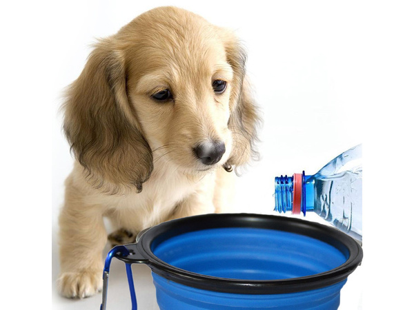 Silikoonist kauss koertele kokkuvolditav turismi karabiini 400ml