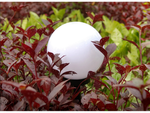 4x rgb solar garden ball lamp 10 cm