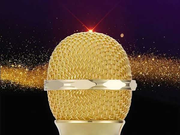 Micro sans fil bluetooth enceinte karaoké ronde avec étui différents modes