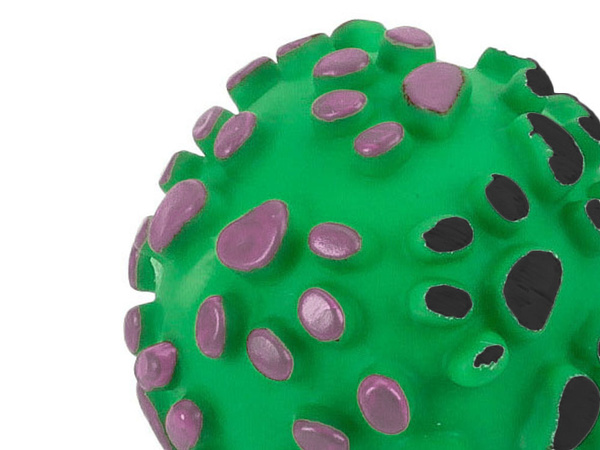 Jouet chien couineur balle de dentition caoutchouc couleurs