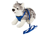 Leash with braces harness lightweight for dog cat strong