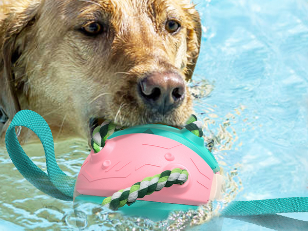 Jouet pour chien frisbee balle disque volant jouet à mâcher
