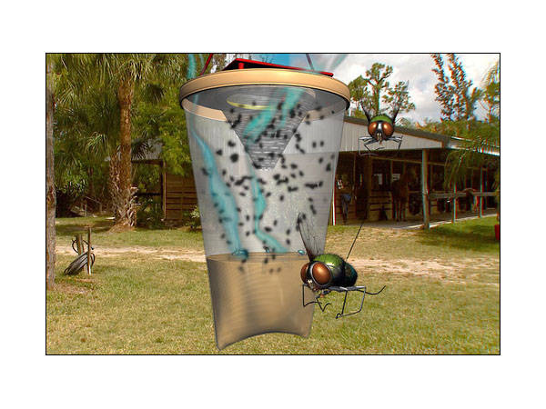 Insect trap attracting mosquitoes flies wasps insects