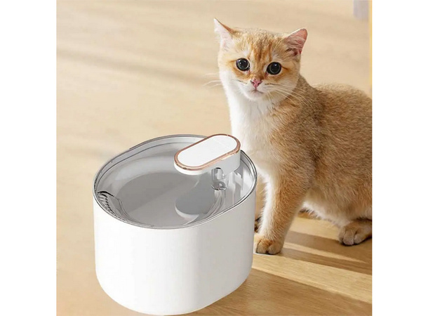 Abreuvoir automatique pour chat fontaine d'eau pour chien filtres bol d'eau
