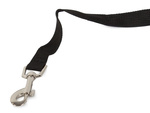 Laisse pour chien-chat avec abreuvoir sac à eau