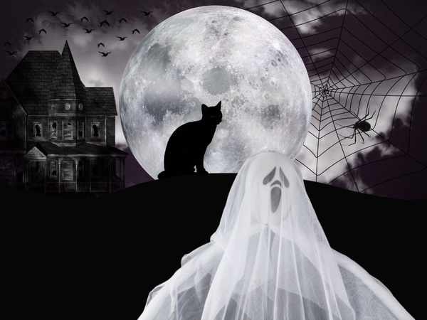 Halloweenska dekorácia závesná dekorácia duch biely krik kostra duch 65cm