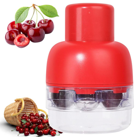 Cherry, sour cherry and olive pitter with container, manual pitter