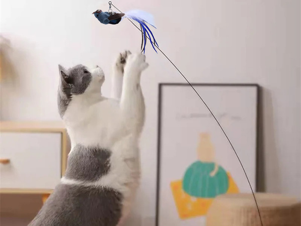 Jouet interactif pour chat avec ventouse oiseau mobile