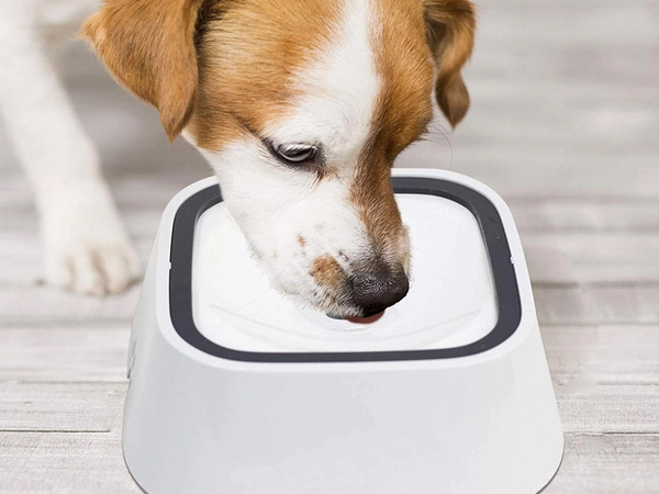 Floating water bowl for dog and cat 1l non-splashing slow drinker