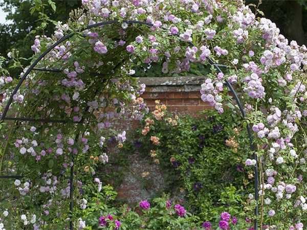 Pérgola de jardín soporte de flores para plantas trepadoras arco para rosas hiedra metal