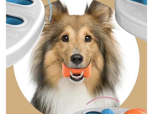 Oktató kutyajáték logikai jutalomjáték szagló rágójáték