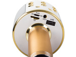 Microphone sans fil bluetooth enceinte karaoké modulateur de voix rond