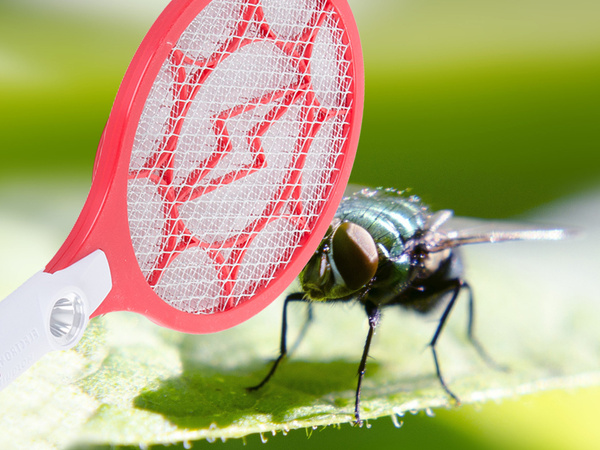 Paleta atrapa moscas eléctrica paquete atrapa moscas mosquitos polillas acum.