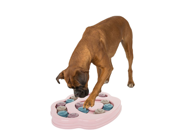 Vzdelávacia hračka pre psov logická hra s pamlskami čuchová puzzle hra