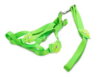 Leash with harness dog cat rabbit p1.5