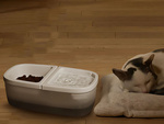 Fountain cat bowl dog water and food automatic drinker 2in1 usb