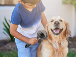 Dog hair brush cat self-cleaning grooming comb
