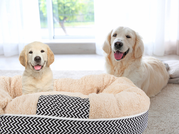 Plush dog playpen bed soft cushion couch bedding fluffy