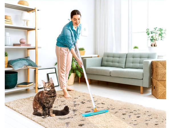 Kefa na odstraňovanie psích chlpov z kobercov