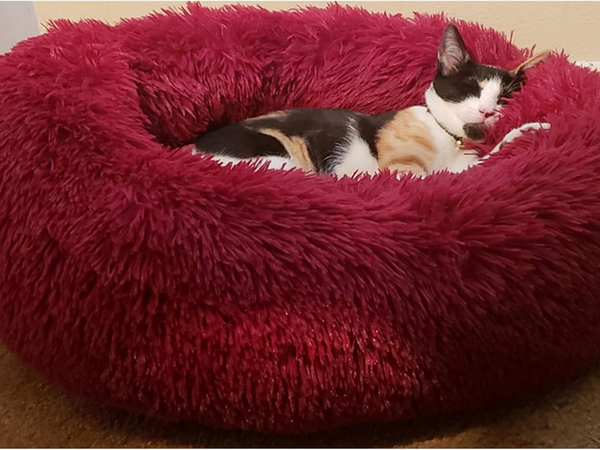 Lit de chien pelucheux lit de chat coussin doux lit de canapé 50cm