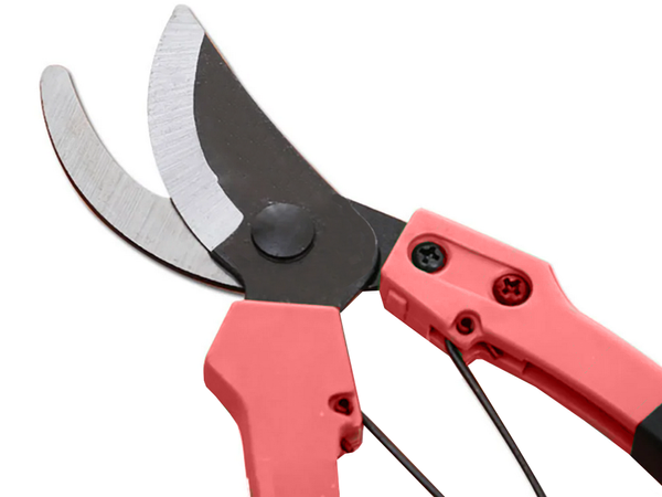 Käsitsi pügamise oksakäärid põõsaste jaoks taimede lõikamise käärid