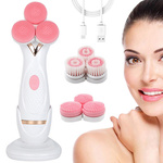 3-in-1 electric backwashing brush