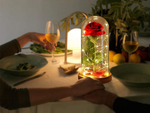 Вечная роза в стекле красный led подарок светящийся для случая для женщин