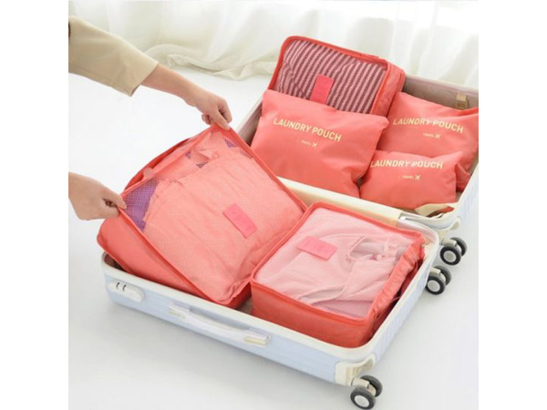 Travel organisers for laundry bags x6