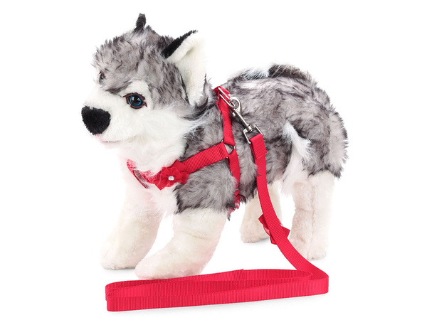 Ham lesă pentru câine pisică iepure p1