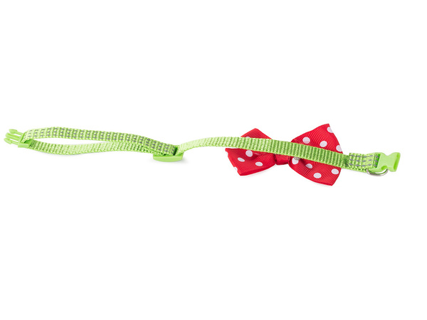 Collier nœud papillon 1 (720) gab_a