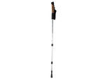Nordic walking pole trekkingové palice