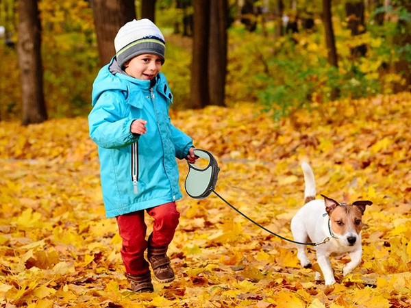 Smycz automatyczna dla psa taśma z blokadą 5m 15kg