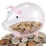 LARGE PINK PIGGY BANK (36)