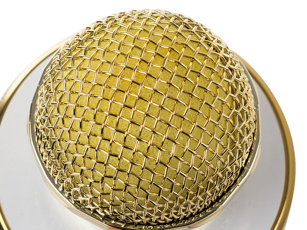 Micro sans fil bluetooth enceinte karaoké ronde avec étui différents modes