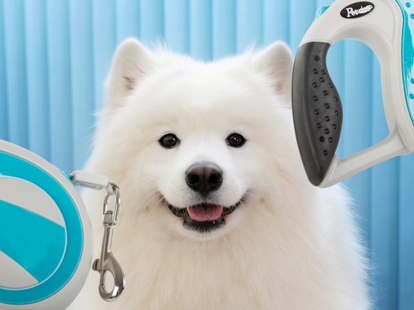 Automatic leash 5m strong for dog up to 20kg with lock strong long